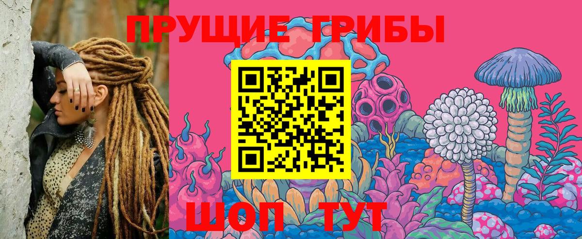 Нягань  Псилоцибиновые грибы Magic Shrooms  Вход с VPN  Псилоцибиновые грибы мицелий 